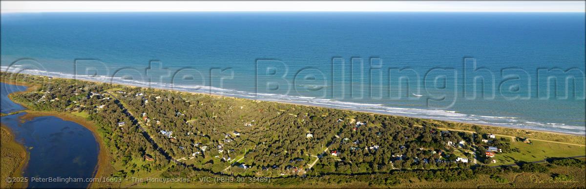 Peter Bellingham Photography The Honeysuckles - VIC (PBH3 00 33489)